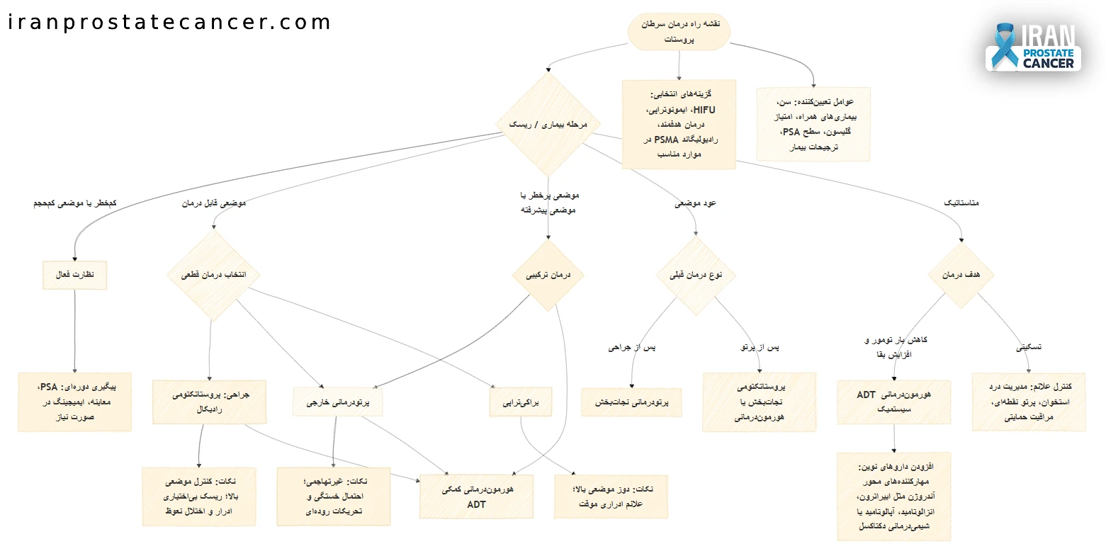 یک نقشه راه درمانی. برای مثال، اینفوگرافیکی که در مرکز آن سرطان پروستات قرار دارد و شاخه‌های مختلف درمان‌ها با جزئیات مختصر معرفی شده‌اند