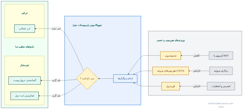 پیوند هورمون‌ها و هیپوتالاموس در کنترل دمای بدن