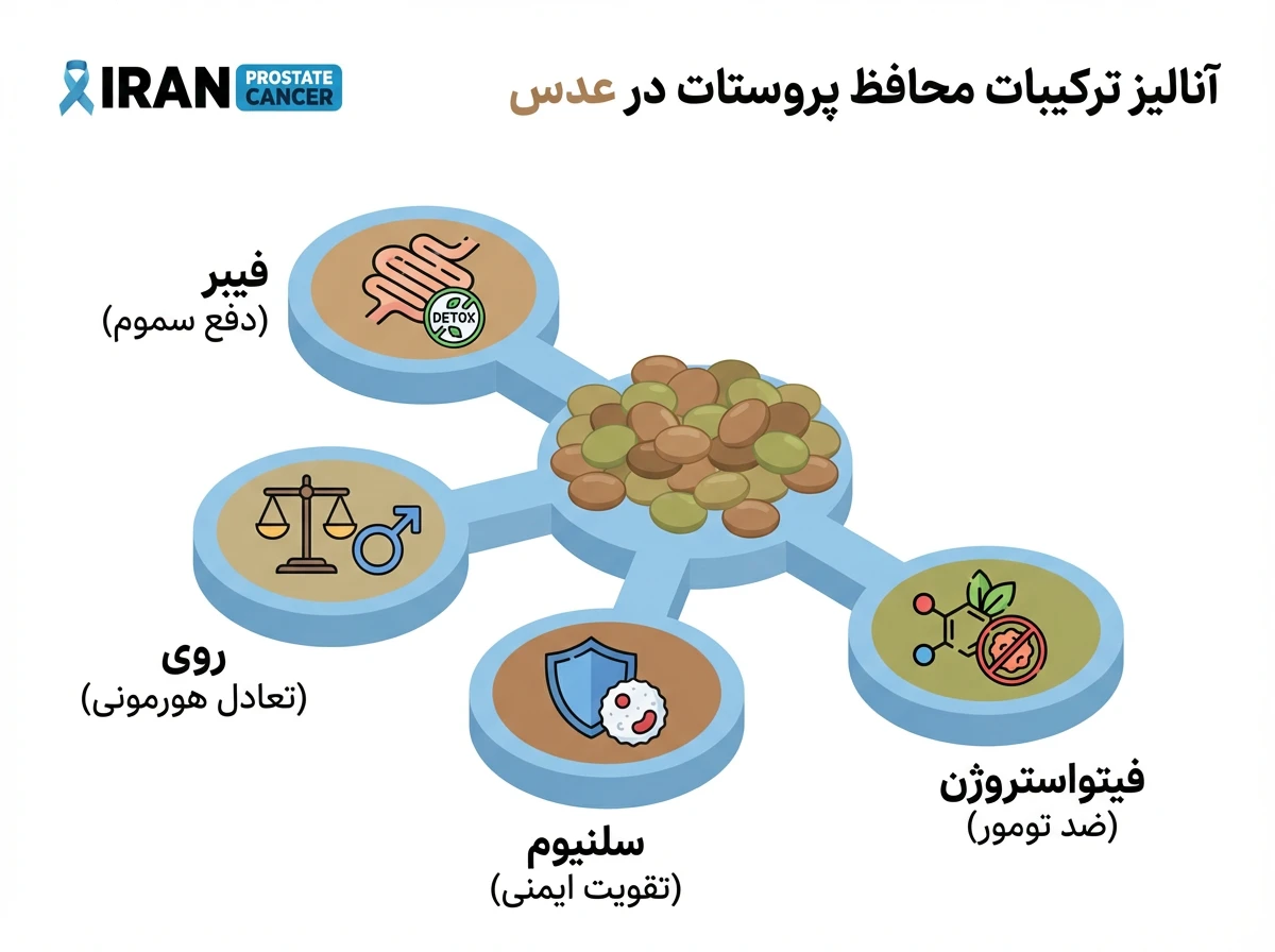 نمودار بررسی مواد معدنی موجود در عدس شامل روی و سلنیوم موثر در سلامت غده پروستات.
