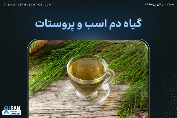 دم اسب برای پروستات | آیا گیاه دم اسبی برای پروستات خوب است؟