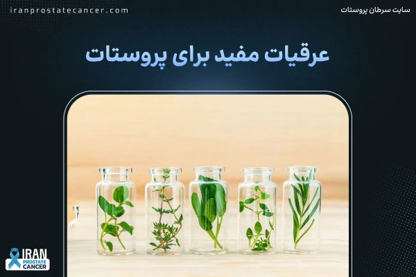 عرقیات مفید برای پروستات | برای سرطان پروستات چه عرقی خوبه؟