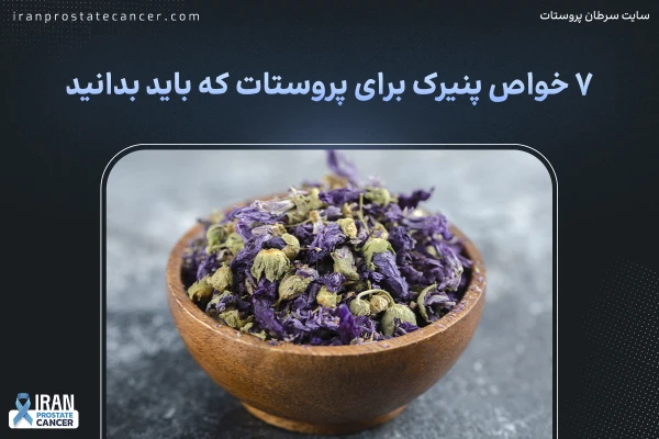 7 خواص پنیرک برای پروستات که باید بدانید
