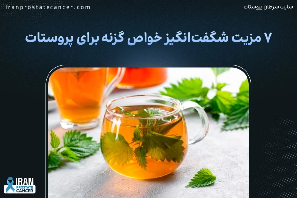 ۷ مزیت شگفت‌انگیز خواص گزنه برای پروستات که باید بدانید