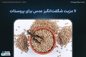 عدس